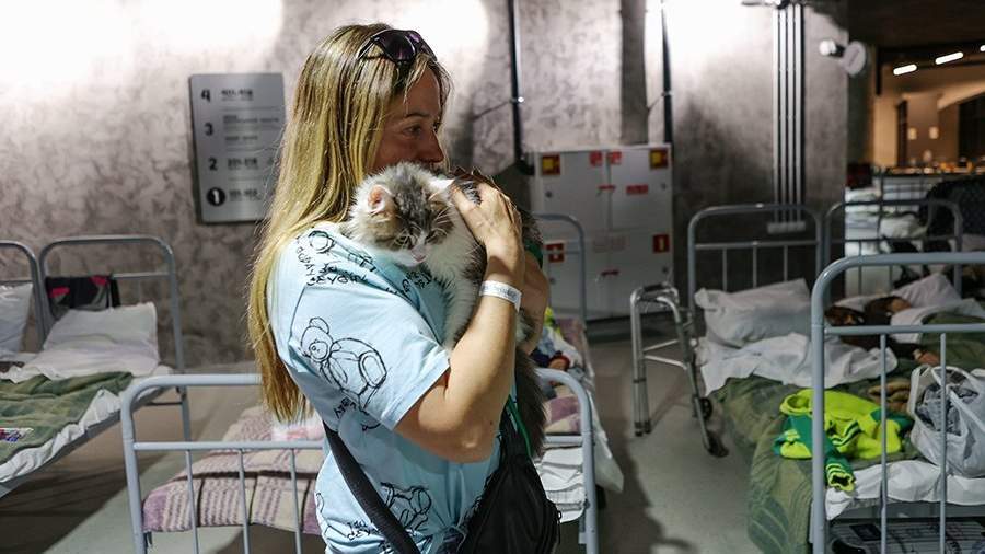 Российские военные помогли семье из Шебекино вывезти из города животных ...